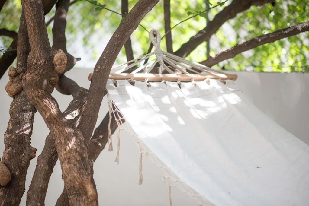 Luxury Studio With Garden Next To Acropolis Athens Luaran gambar