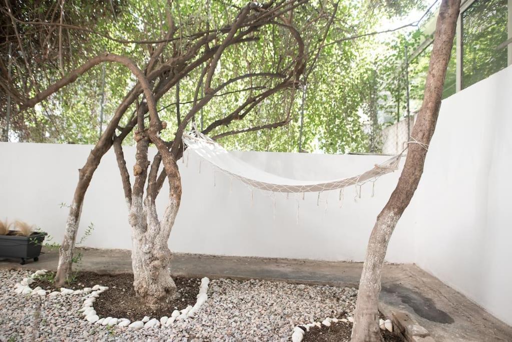 Luxury Studio With Garden Next To Acropolis Athens Luaran gambar